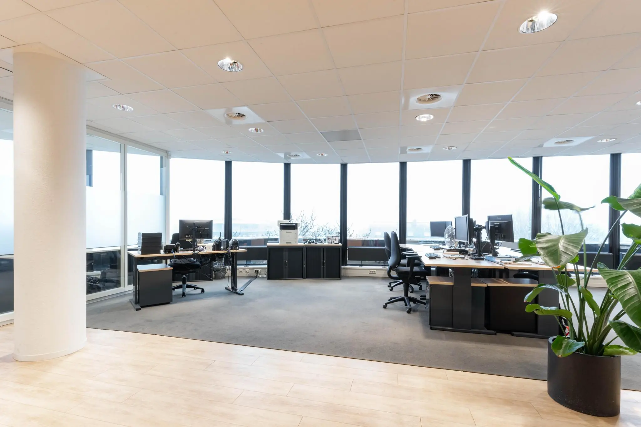 Modern kantoor op de 1e Hogeweg met meerdere werkplekken, grote ramen en een groene plant op de voorgrond.